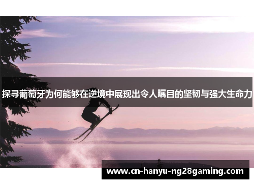 探寻葡萄牙为何能够在逆境中展现出令人瞩目的坚韧与强大生命力