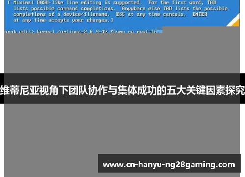 维蒂尼亚视角下团队协作与集体成功的五大关键因素探究