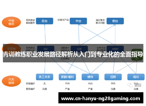 青训教练职业发展路径解析从入门到专业化的全面指导