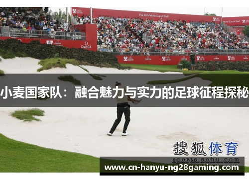 小麦国家队：融合魅力与实力的足球征程探秘